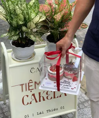 Bánh Special Cake 🎀 - Cakela